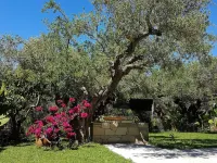 Elia Guesthouse - Kissamos Hotels in Mithimna