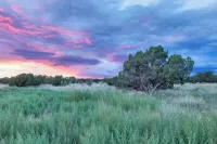 Starry Sky + Serene Setting: Rural New Mexico Gem - Apartments