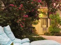 Coral Castle Guest House Hotels in Goidhoo