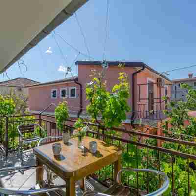 Apartments Sklopina Others