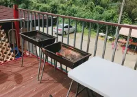 Yangju Vitamin Pension & Campground