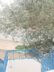 Charming 3-bedroom Apartment Near Carthage, Tunisia