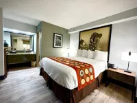SureStay Plus by Best Western Cannon A.F.B. Các khách sạn ở Clovis