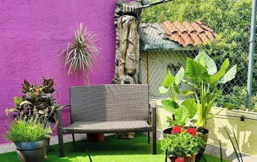 Hostal 109 Roma - Condesa - Pensions