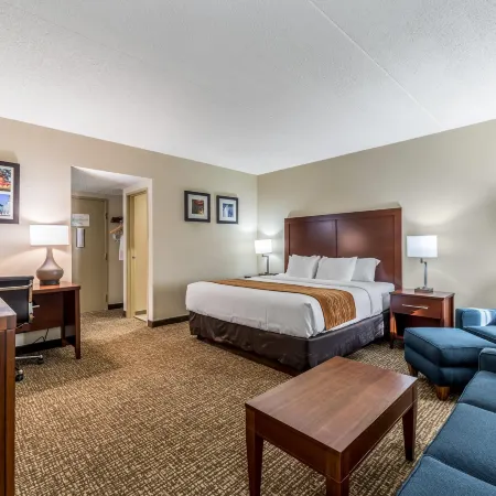 Comfort Inn Festus-St Louis South