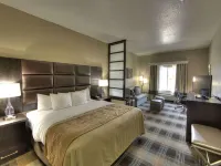 Comfort Inn & Suites Fort Worth West I-30 Nas JRB Hotels in White Settlement
