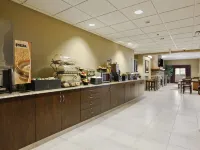 Microtel Inn & Suites by Wyndham Williston Các khách sạn ở Williston