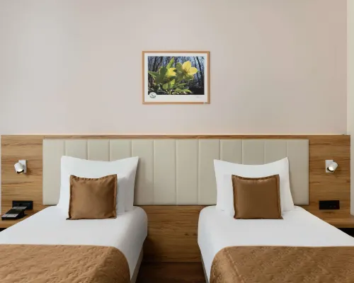 Movenpick Resort and Spa Fruske Terme Rooms Photos