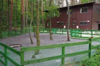 Oyado Tantan - Pet friendly