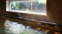 SUPER HOTEL Gotemba 2 - Hot Tub