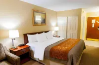 Comfort Inn Amish Country - parking