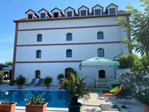 Villa Oliver Abádszalók - piscina