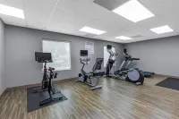 Hampton Inn & Suites Atlanta Airport West/Camp Creek Parkway - Træningscentre