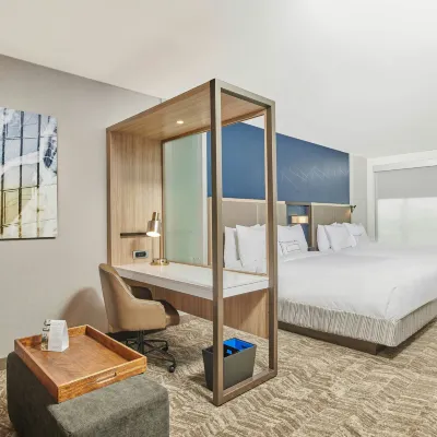 SpringHill Suites Chicago Chinatown Отели рядом с достопримечательностью «Чайна таун»