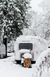 AutoCamp Yosemite - parking