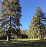 Ahwahnee-be Vintage Cabin - Three blocks to town! - 3성급