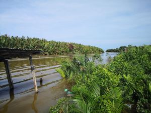 Traditional Fisherman Village Near Samur