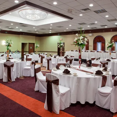 Holiday Inn YOUNGSTOWN-SOUTH (BOARDMAN) by IHG