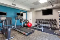 Hampton Inn Carlsbad-North San Diego County - Gym
