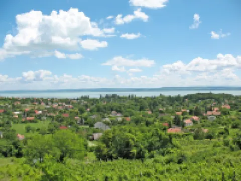 Fokas