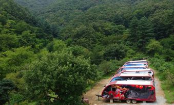 Yongin Mano Healing Camp Caravan