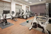 Embassy Suites by Hilton Birmingham Hoover - Gym