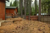 Woodland Escape - Cute Little Cabin in the Woods!