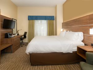 Holiday Inn Express ST Paul S - Inver Grove Hgts