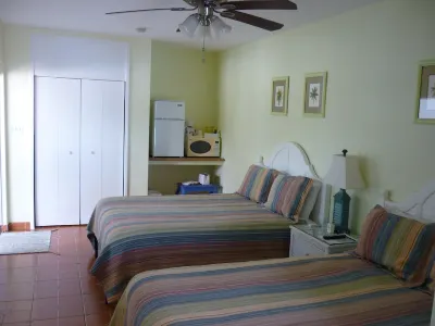 Palm Court Motel Hotels in Palm Harbor