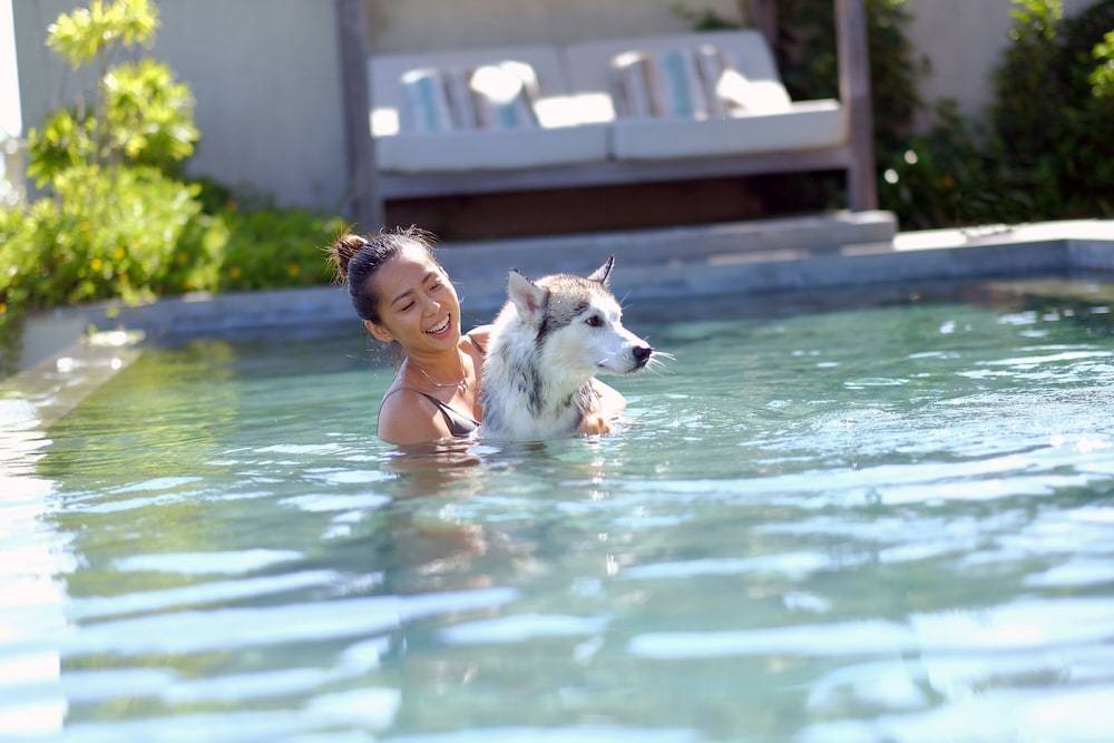 최고급 스테이크를 선보이는 와투 스테이크하우스