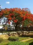 Sheila's Lodge