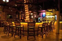 Alona Vida Beach Resort - bar