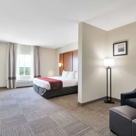 Comfort Suites University