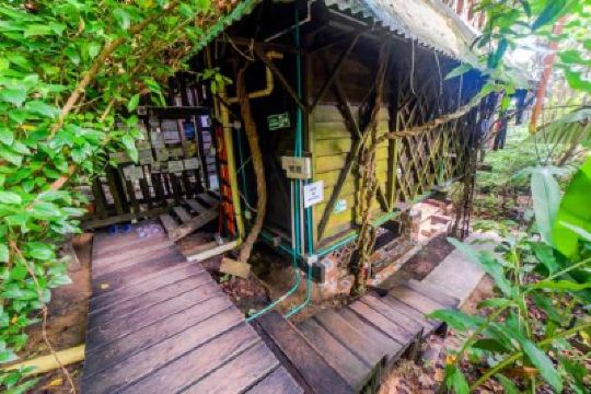 Public Areas Ayahuasca Photo