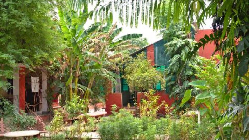 Jungle Lodge
