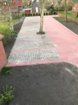 Kleine Möwe