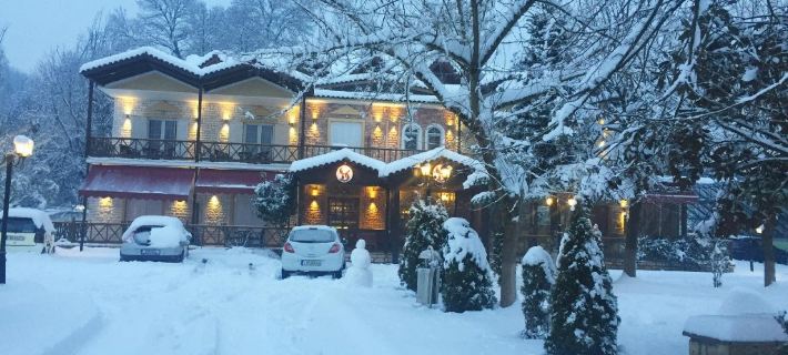Krikonis Hotel Hotels in Ioannina