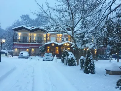 Krikonis Hotel Hotels in Dodoni