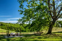 B&B Borgo Vera - Haustierfreundliche