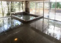 LiVEMAX RESORT HAKONEASHINOKO - balneario