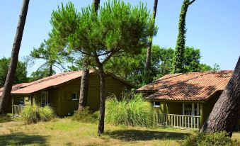 Village Vacances la Forêt des Landes