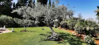 Roca Verde Boutique Bed & Breakfast - Adults Only Hôtels à proximité de : Sala El Embrujo