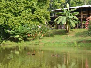 Albergue La Laguna Corcovado Park