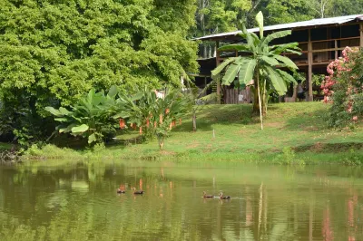 Albergue la Laguna Hotel in zona Corcovado, estación Sirena National Park