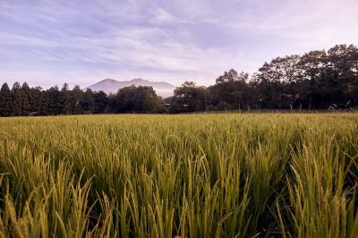 ホテル周辺 星野リゾート リゾナーレ那須の写真