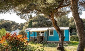 Camping de l'Arquet Cote Bleue