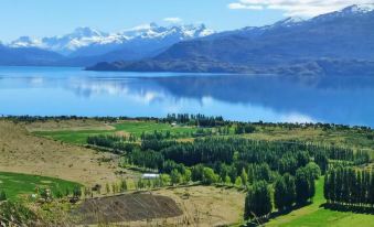 Patagonia Bordelago