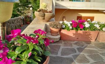a patio with a variety of potted plants and flowers , creating a colorful and inviting atmosphere at Sweet Home