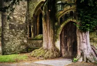 Davenford Cotswold Gardens