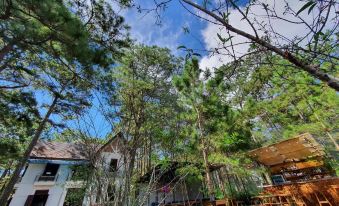 Chino Homestay Măng Đen - Villa tại Măng Đen